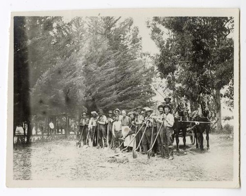 Agricultural laborers standing with shovels