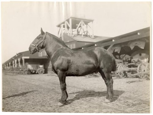 No. 1 Black Prince of McNab & Smith, 208 Davis Street, San Francisco, circa 1908