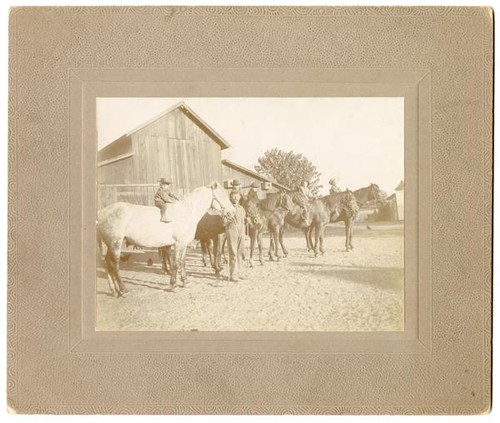 Children on horseback