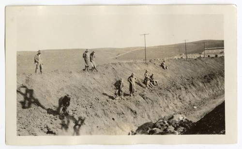 Men observing diseased cattle corpses, circa 1924