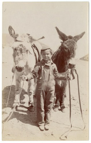 Child holding two burros by the reins