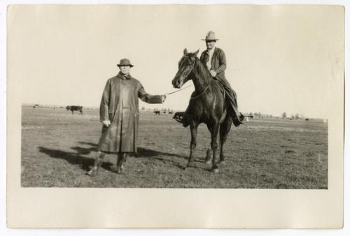 Men amind a field of cattle, circa 1924