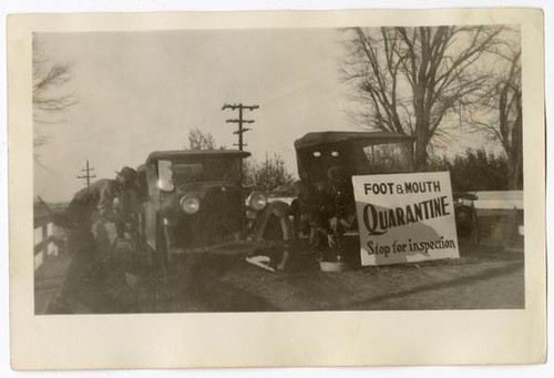 Men and automobiles at a foot and mouth disease inspection post, circa 1924