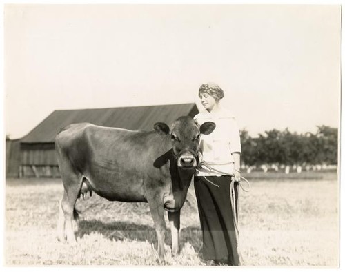 Woman and cow