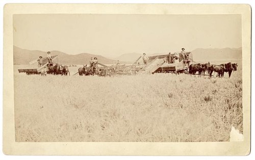 Outfit of agricultural workers and horse teams