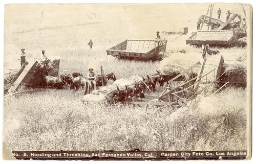 Heading and Threshing, San Fernando Valley, California