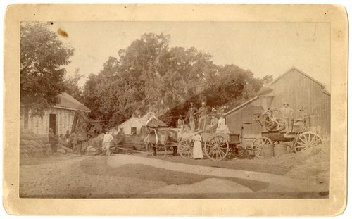 Men and women gathered on and around a series of agricultural machines