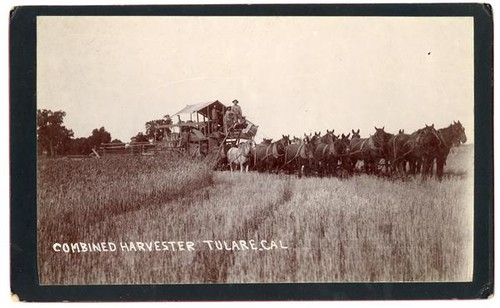 Combined harvester Tulare, California