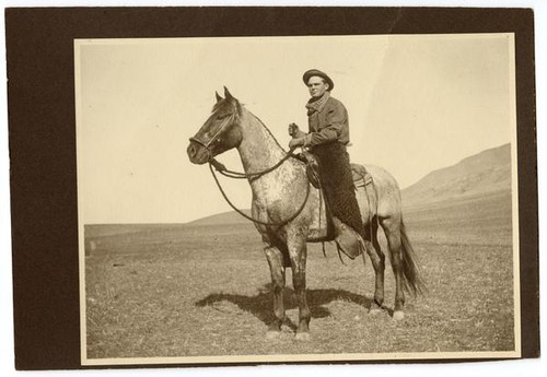 Cowboy on horseback