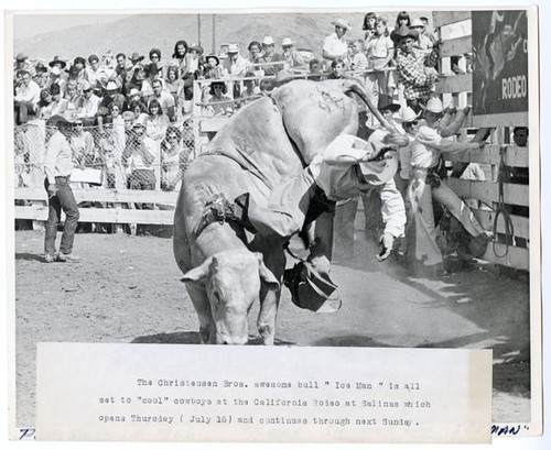 Terry Silvers bucked off "Ice Man" in Porterville, California