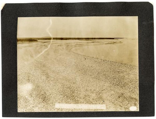 Beach composed entirely of shells of small native oysters, San Francisco Bay, California