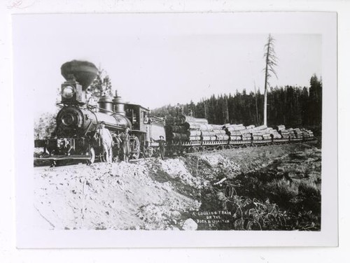 A logging train on the Boca & Loyalton R.R