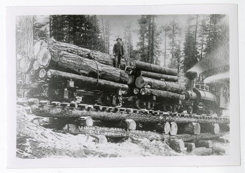 Logging train, Marsh Lumber Co. Near Beckwourth, Cal