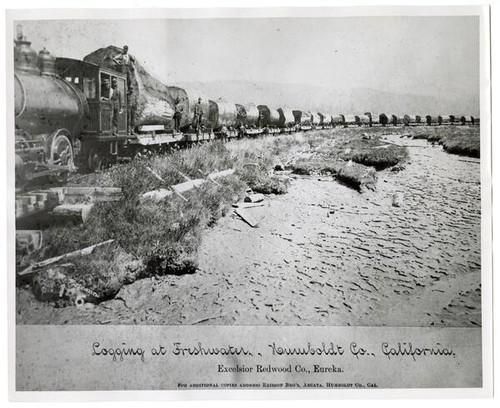 Logging at Freshwater, Humboldt Co., California. Excelsuir Redwood Co., Eureka