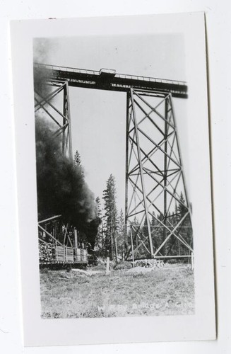 Train carrying lumber underneath a trestle bridge