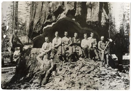Men in the Sequoia National Forest