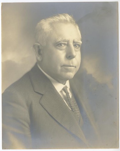 Portrait of Reginaldo Francisco del Valle