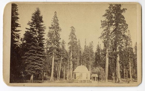 The Sentinels, and House over the Big Tree Stump, from the Mammoth Grove Hotel