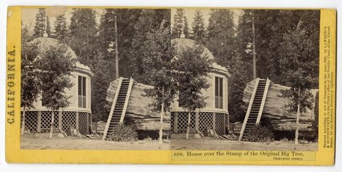 House over the Stump of the Original Big Tree, Calaveras county