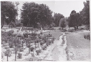 San Bruno Park Playground