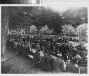 Native Sons of the Golden West Picnic, 1914