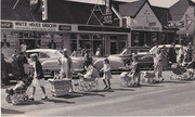 Baby Carriages in the Posy Parade