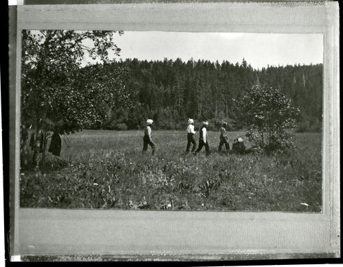 Men in the Fields