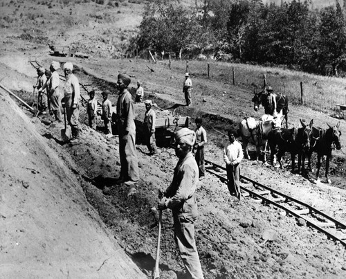 Sikh Railroad Workers