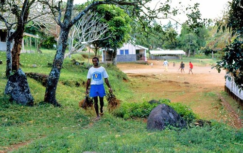 Carrying Kava