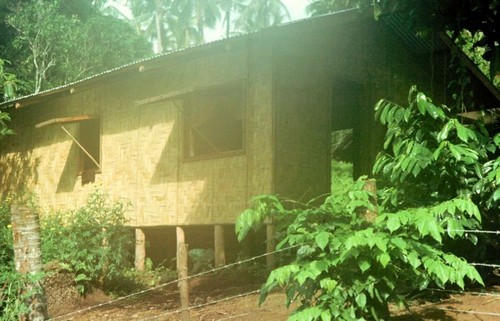 Rodmans' house in morning mist