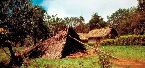 Cyclone Nigel, Collapsed House