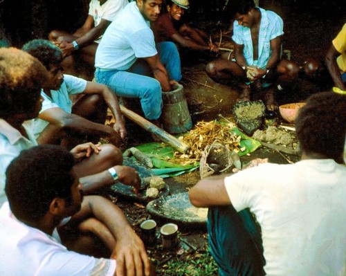 Kava preparation