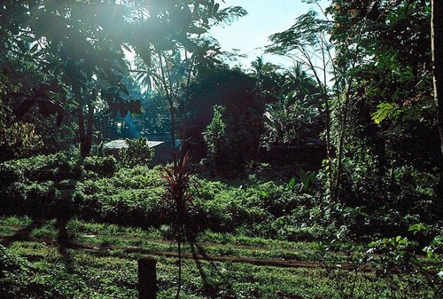 View From the Rodman House, Waileni 2 of 2