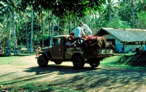 Vivian's Wedding, Truck takes Vivian's mats