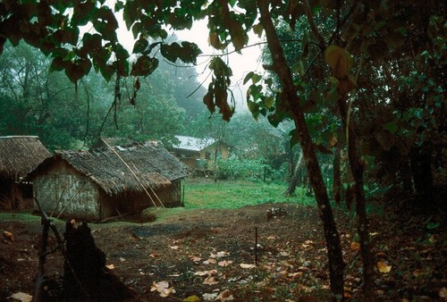 Rodman Compound in the Rain, Waileni 2 of 2