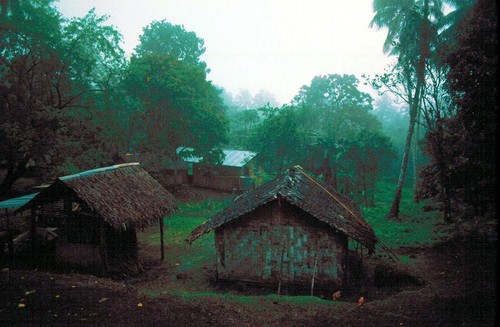 Rodman Compound in the Rain, Waileni 1 of 2