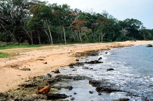 Million Dollar Point, Outside Rural Santo