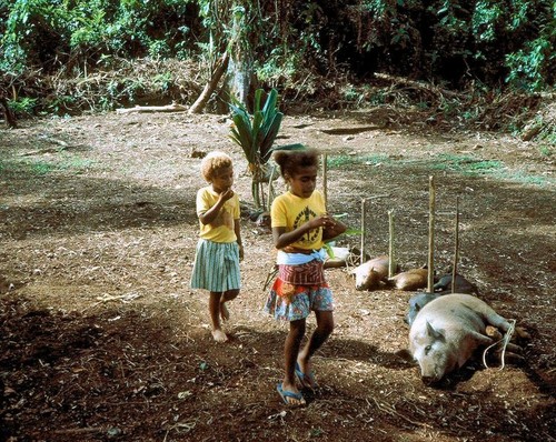 Girl Taking Rank at David Tari's Hungwe