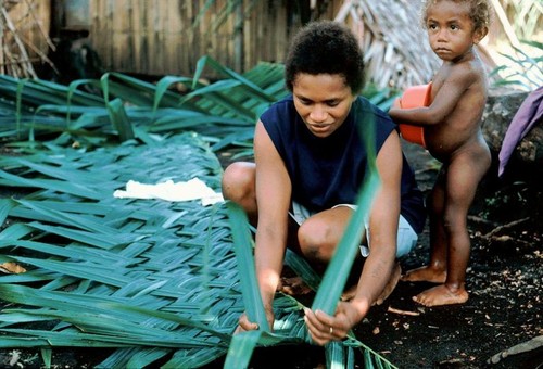 Rosinette Plaiting Fronds