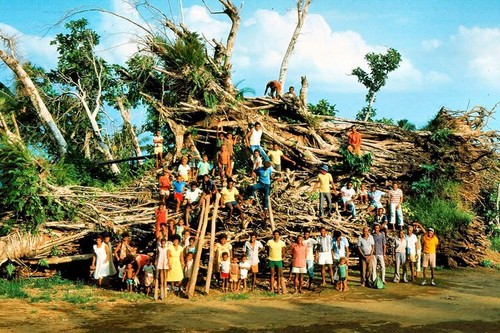 Cyclone Nigel, Waileni on the Banyan 1 of 2