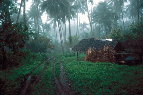 Rainy View of a Copra Bed