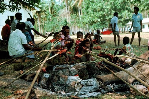 Vanua'aku Pati picnic