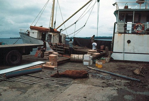MV Lali 1 of 2