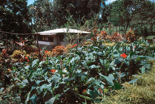 President Liu's House, Lovunvili