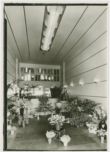 J.R. Davidson: Schilling's Flower Store (Los Angeles, Calif.)