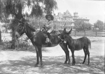 Boy on mule, Arlington Annex in background
