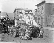 Floral Festival 1893