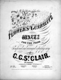 Flowers of the Guadalupe waltz for the piano / composed and arranged expressly easy by C. C. St .Clair