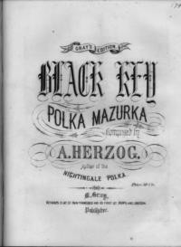 The black key polka-mazurka / A. Herzog