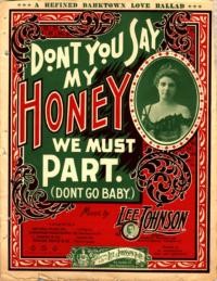 Don't you say "my honey we pust part" : dont go baby / music by Lee Johnson ; words by W. Anderson and Lee Johnson